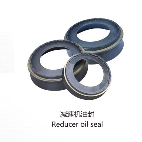 Reducer oil seal