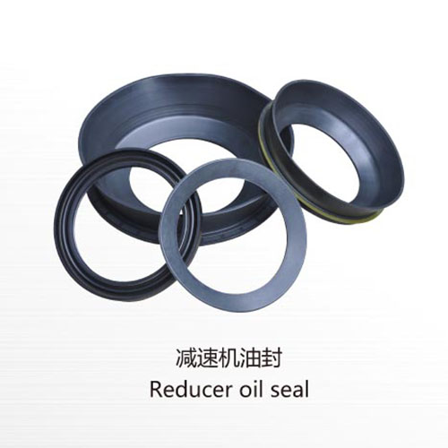 Reducer oil seal