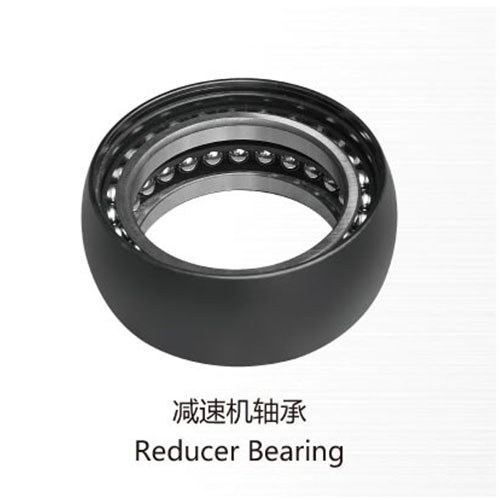 Reducer Bearing