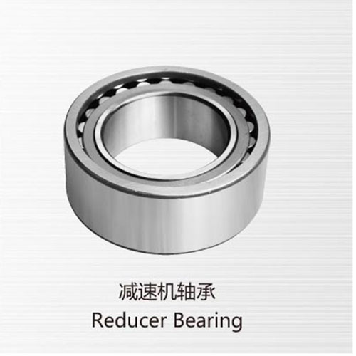 Reducer Bearing