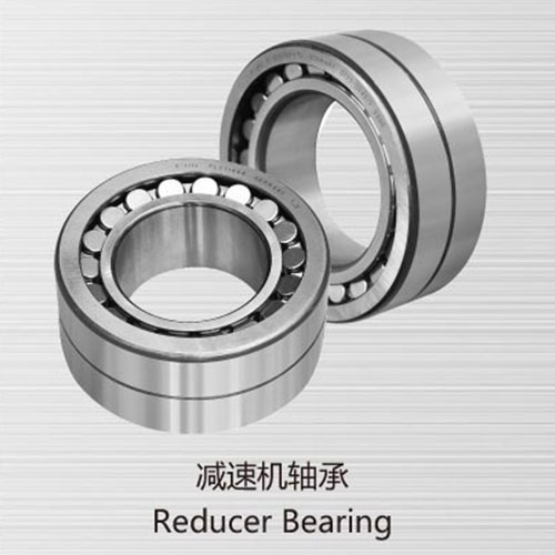 Reducer Bearing